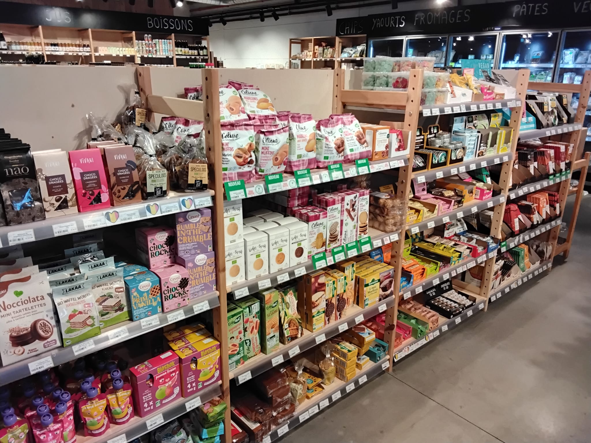 WhatsApp Image 2025-11-26 at 16.49.13