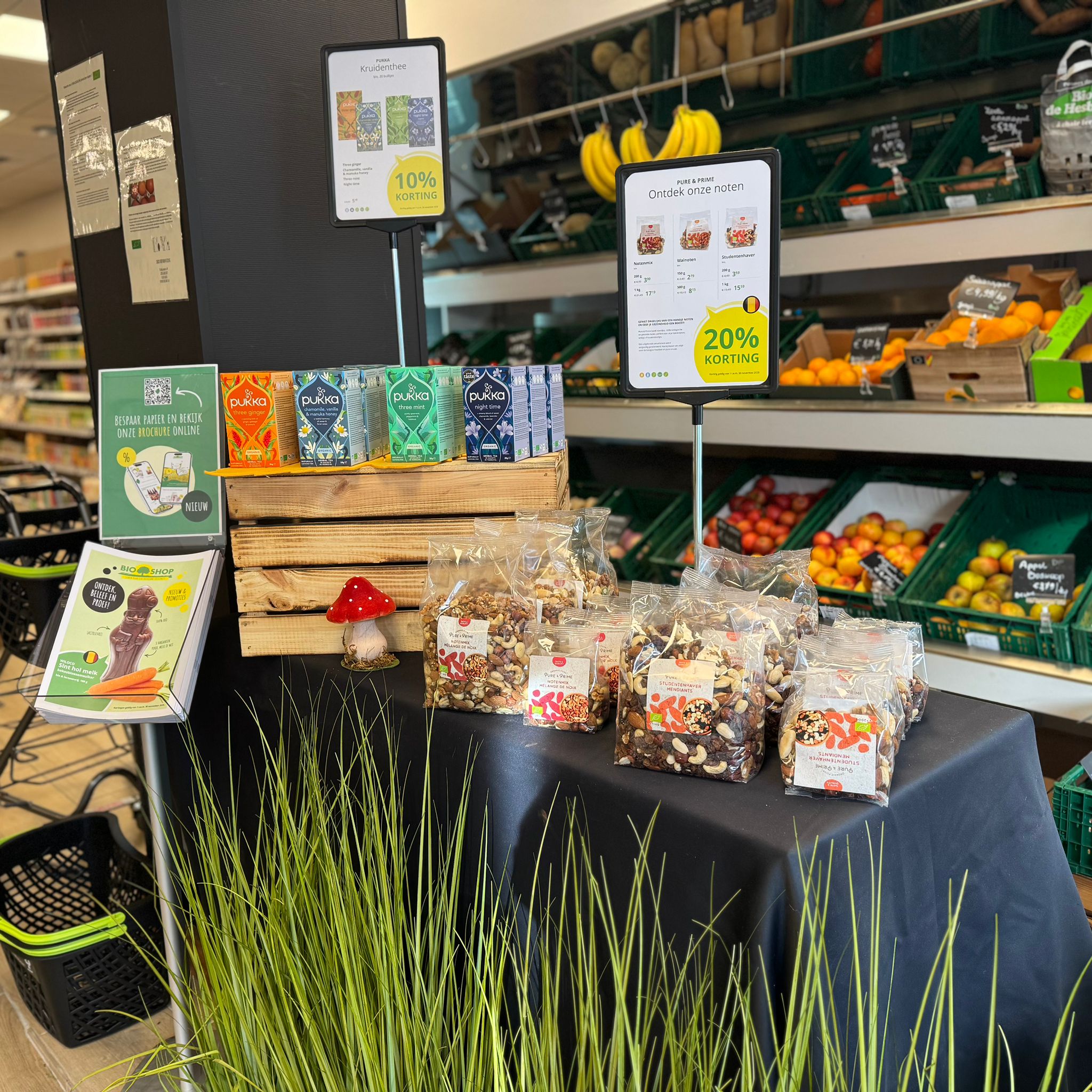 577991563_1409630711165544_8156864493016910478_n