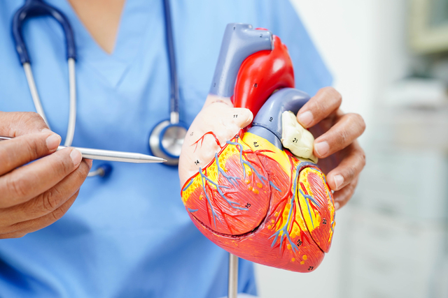 Hartfalen: leven met een ziek hart