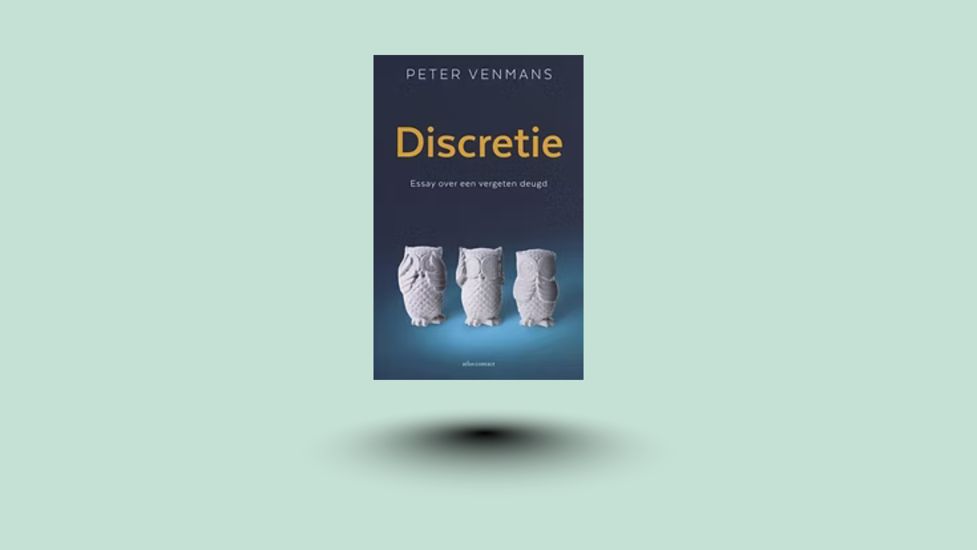 Discretie