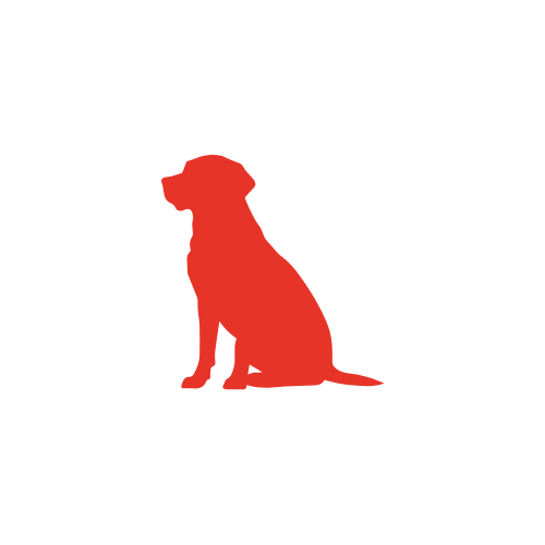 Icon for Dierenboek