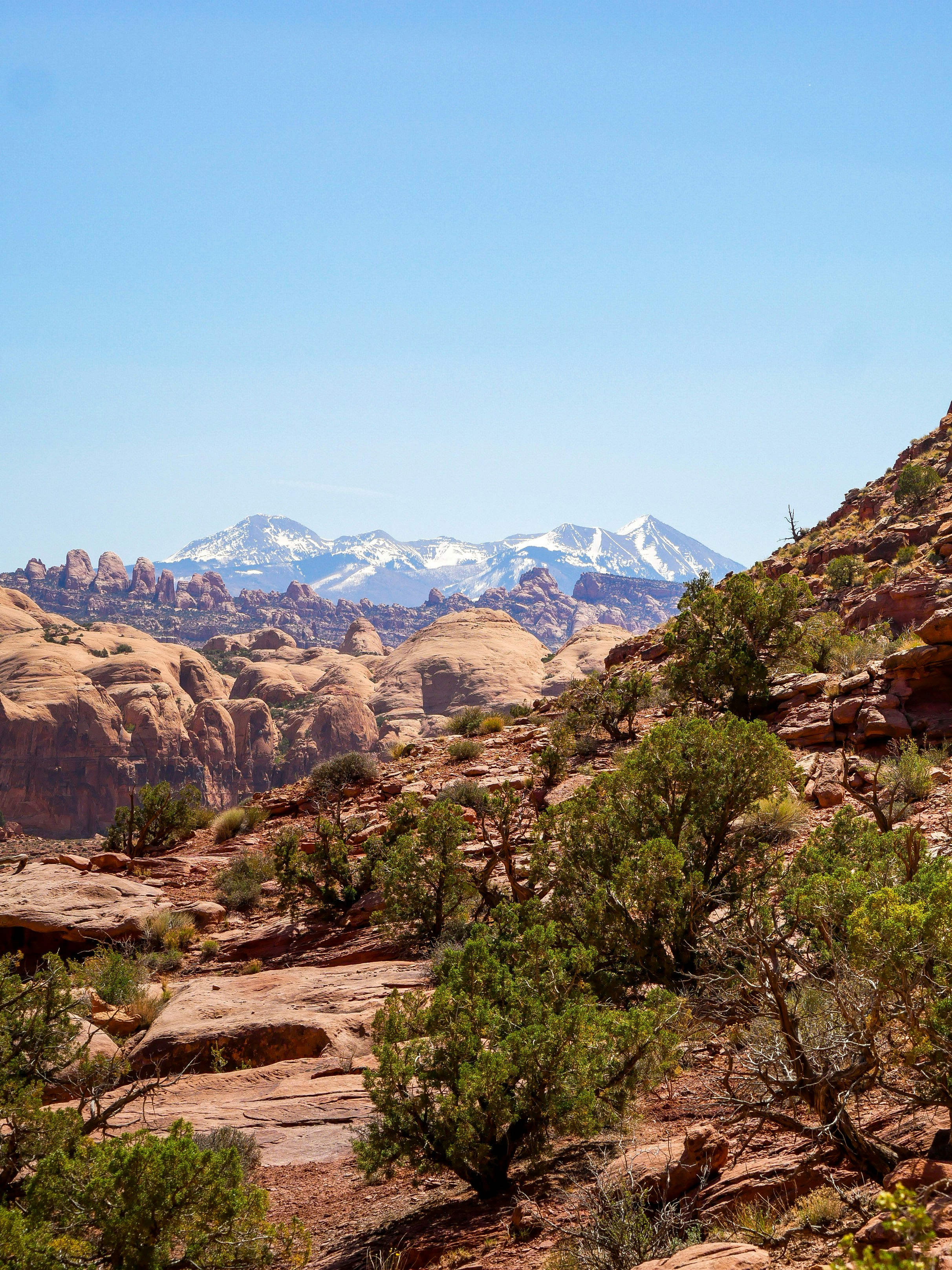 Risicobeheer staat centraal