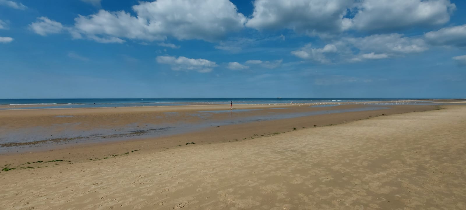 The Opal Passage - mei 2026