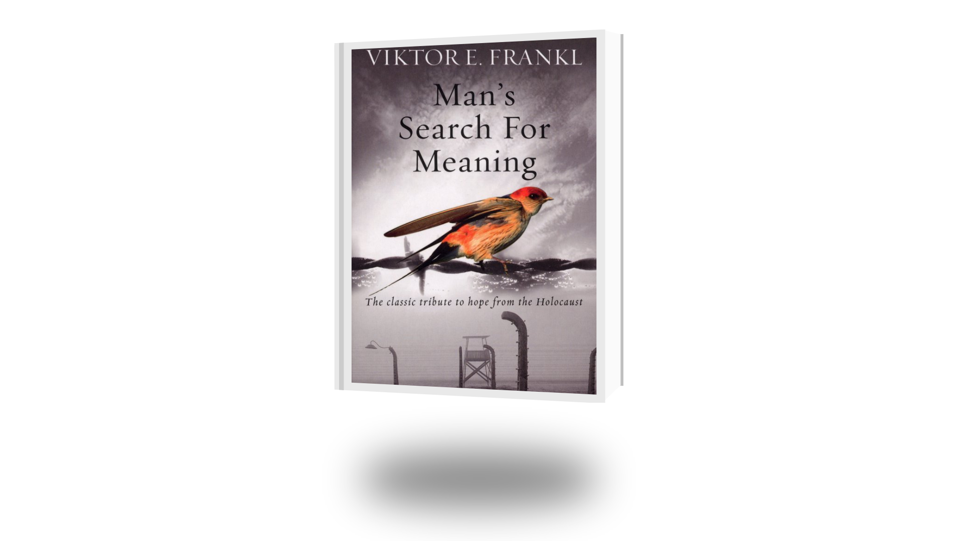 Man’s Search for Meaning